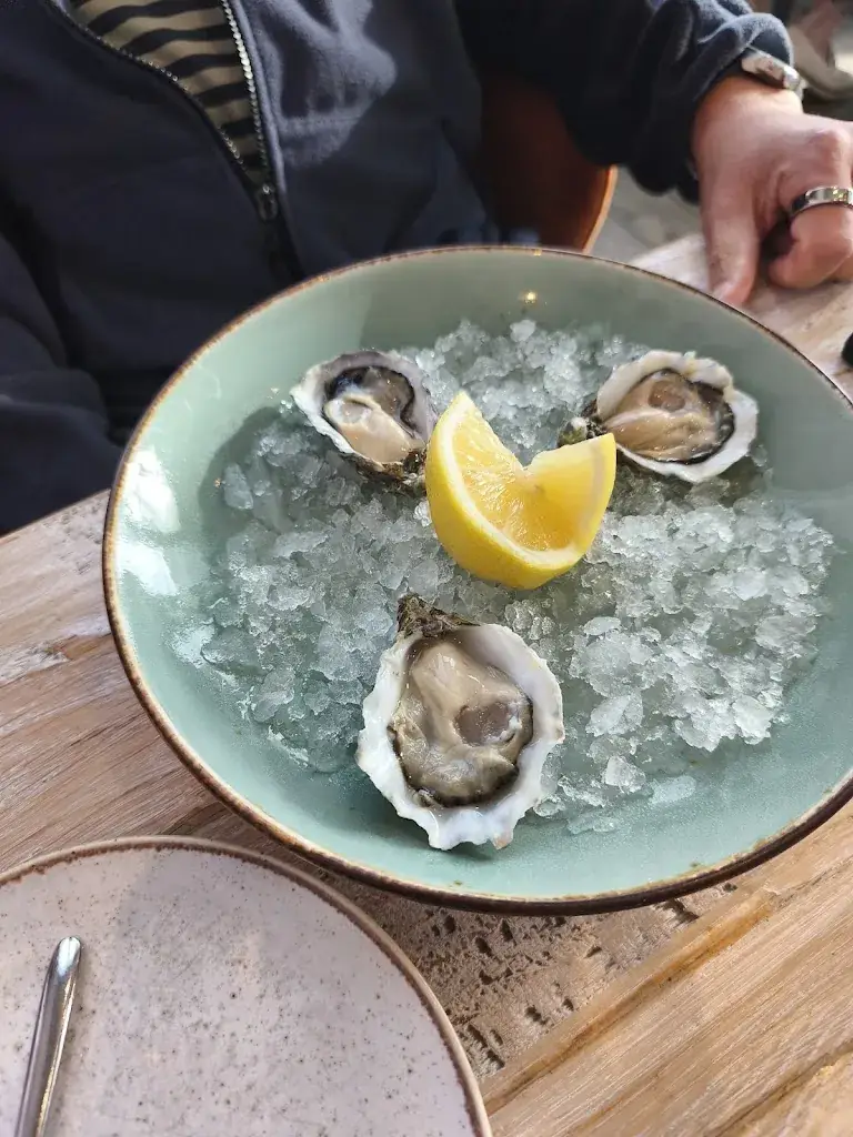 David_Dijkpaviljoen De Westkaap_Westkapelle_review