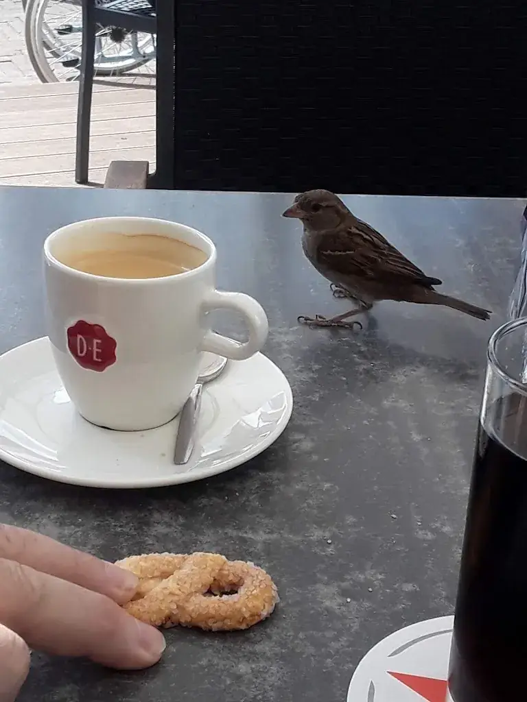 Menu_Brasserie De Fontein_Westkapelle_image_5