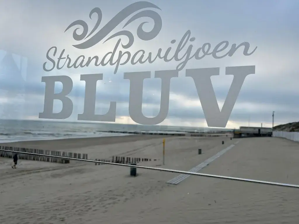Havi Harv_Strandpaviljoen Bluv_Westkapelle_review