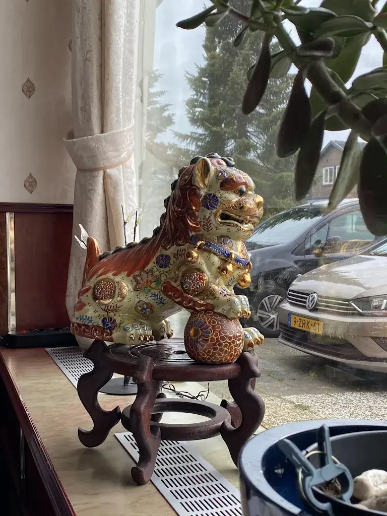 Linda van Leeuwen_Chinees-Indisch Restaurant Rose Garden_Hurdegaryp_review