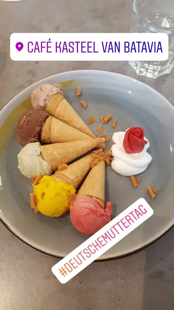 Carla Dias-Hübl_Kasteel van Batavia_Westkapelle_review