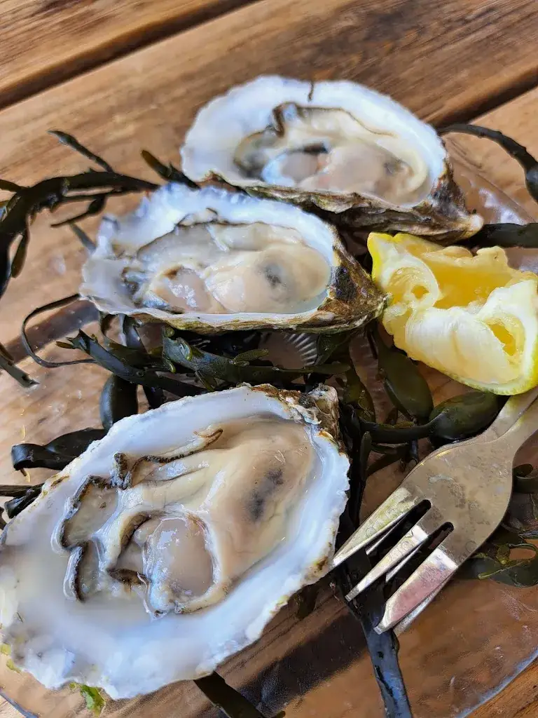 Luciana Iorio_Oesterij_Yerseke_Bewertung