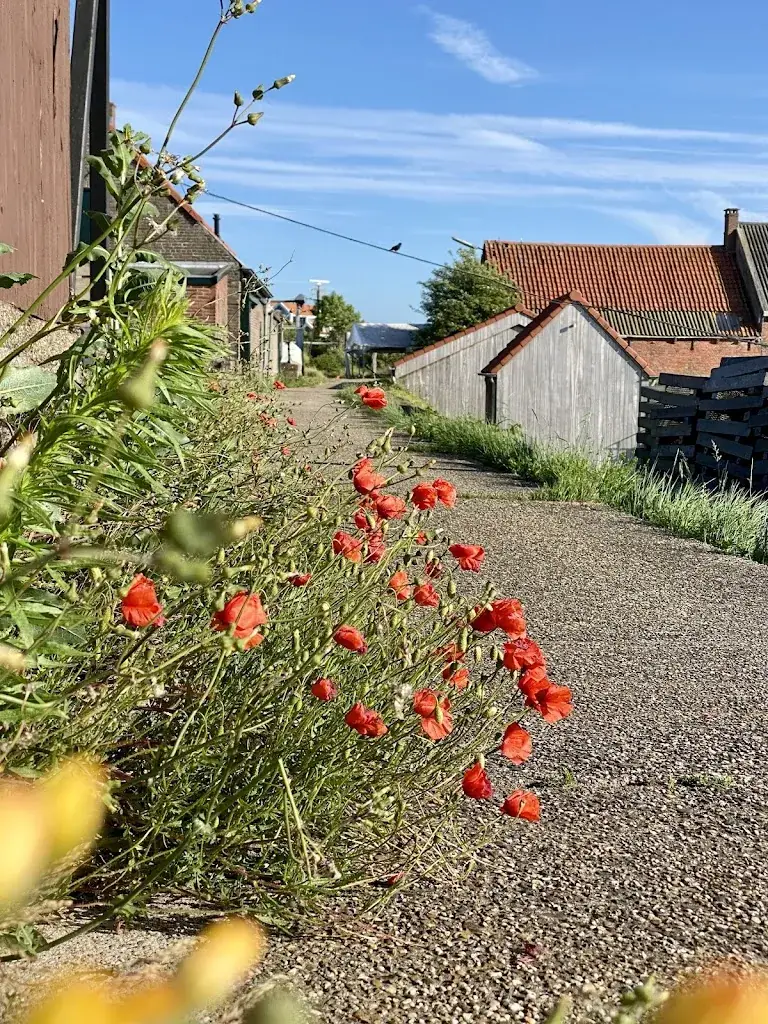 Maria-Jose Rapaille-Arias_Oesters & Bubbels_Yerseke_review