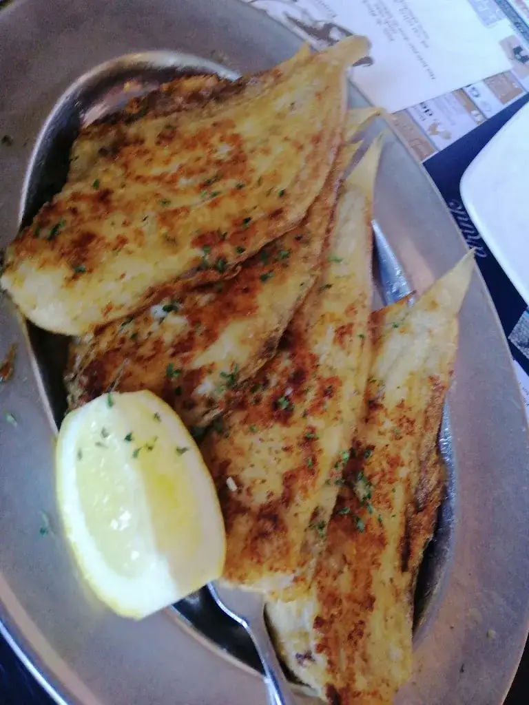 Harvey Suello_De Schelde_Yerseke_review