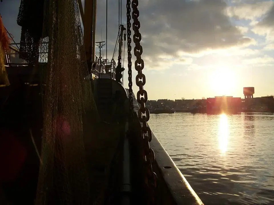 Piet van Oost BV / De Viskêête Mossel- Oester- & Vishandel_Yerseke_slider_image_2