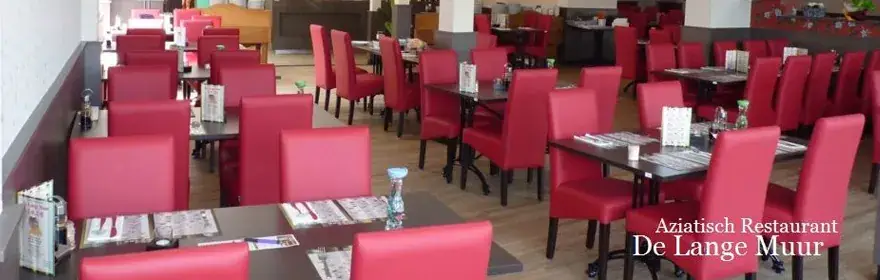 Asian Restaurant "De Lange Muur" restaurant in Terneuzen