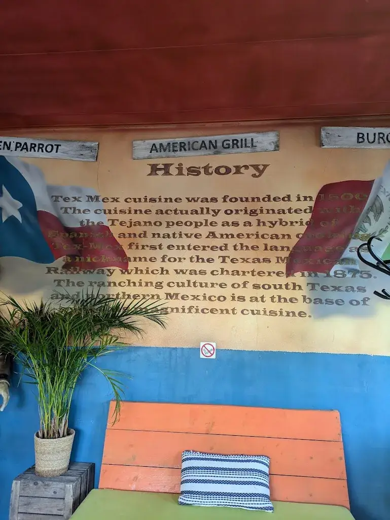 Kana Immeln_The Green Parrot_Renesse_review