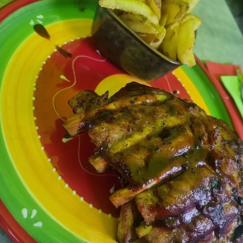 Elena Haas_The Green Parrot_Renesse_review