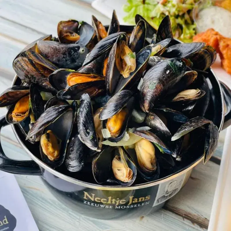 HeerlijkZo_Renesse_slider_image_2