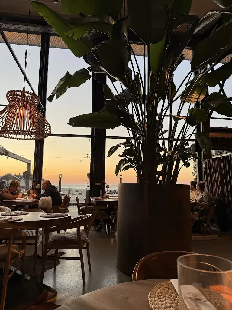 Ride Maniacs_Strandclub Horizon_Renesse_review