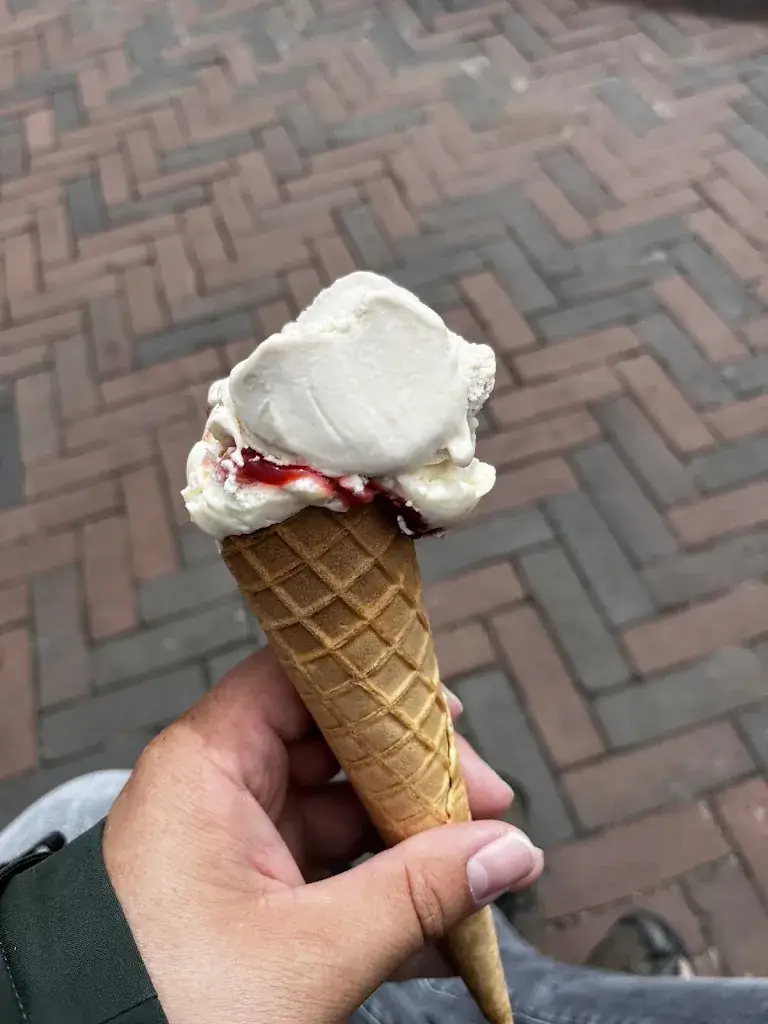 Menu_De IJswinckel Renesse_Renesse_image_5