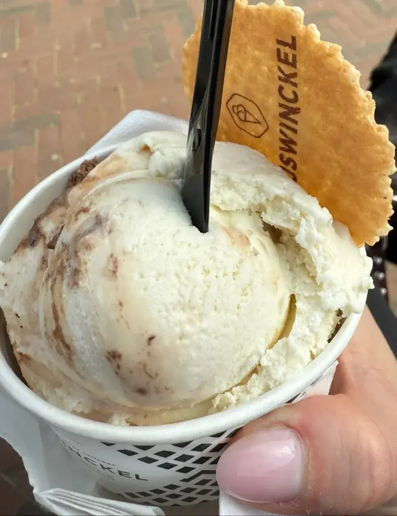 N. K_De IJswinckel Renesse_Renesse_review