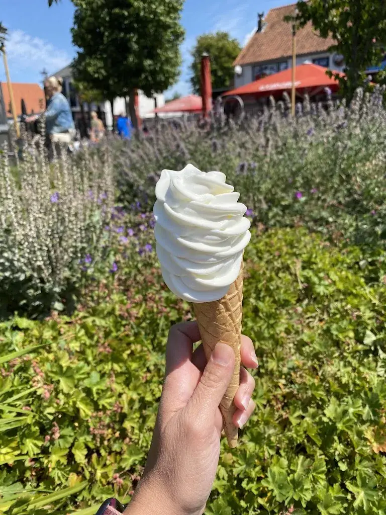 Juana Gutknecht_De Buren_Renesse_review