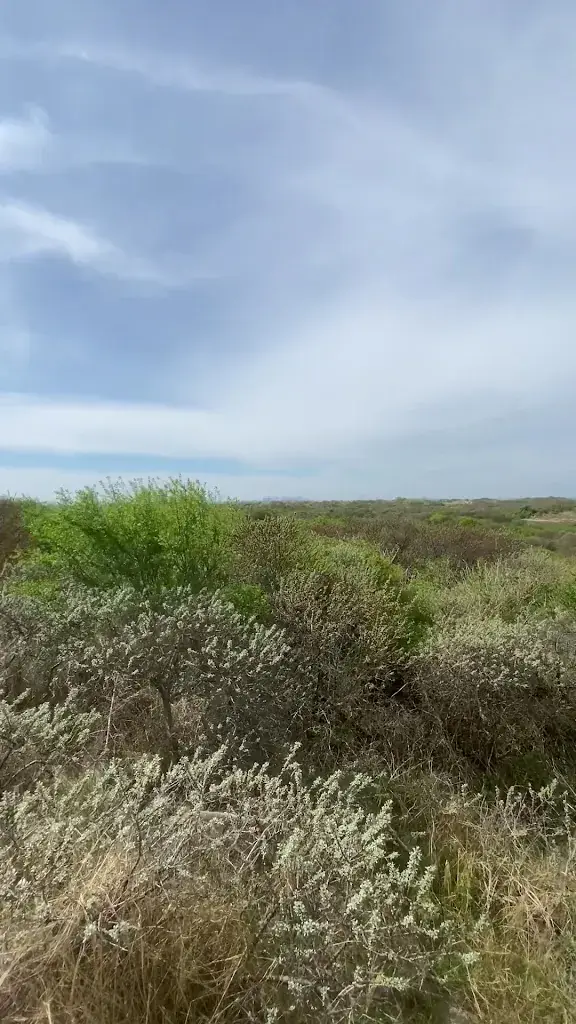 Sherry FJ_ZEETOREN | restaurant & events_Holland_review