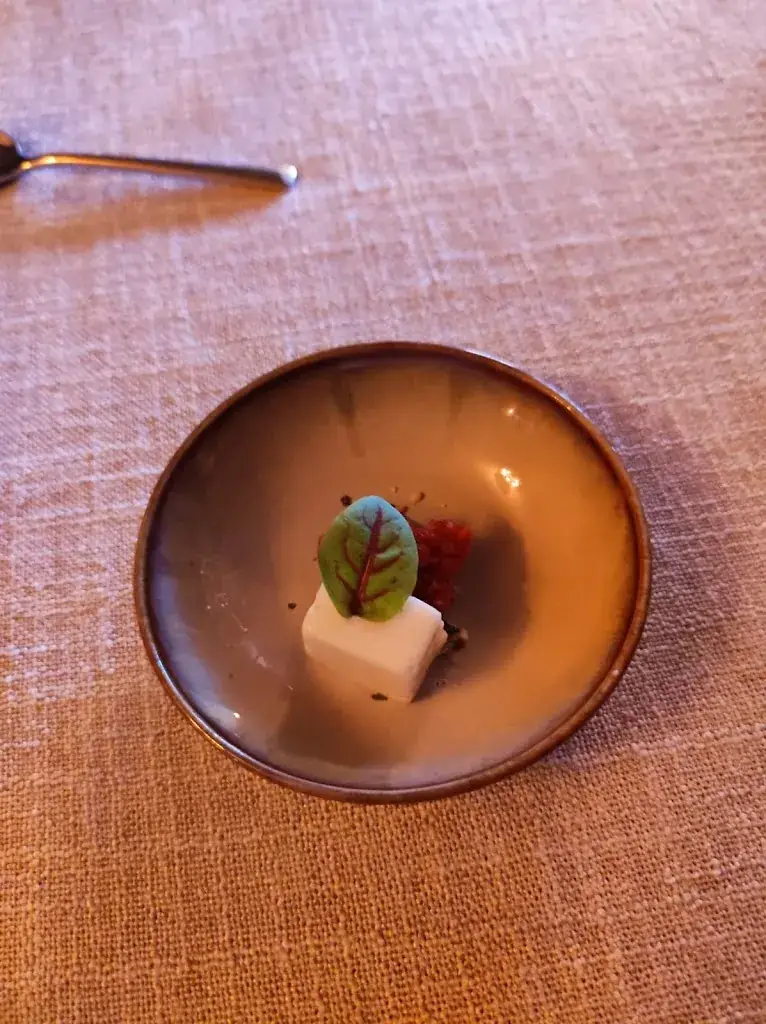 Janja Mikuž_Restaurant Apricot_Assen_review