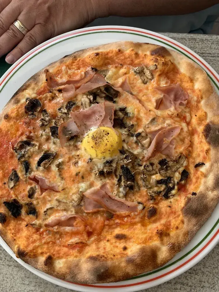 Michaela Stamm_Roma Antica_Holland_review