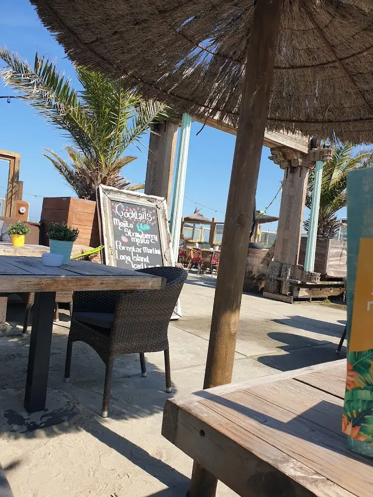 Nadine B_Villa on the Beach_Holland_avis