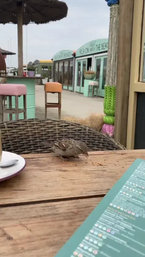 Villa on the Beach_Holland_slider_image_2