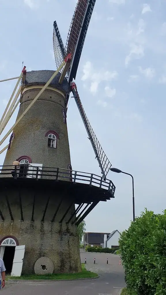 Ovidiu Puiu_De Molenhoek_Hoek_recensione