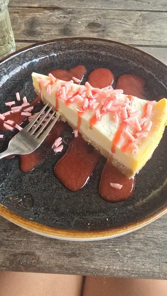 Lovely Day_Bregje Hoek van Holland_Holland_review