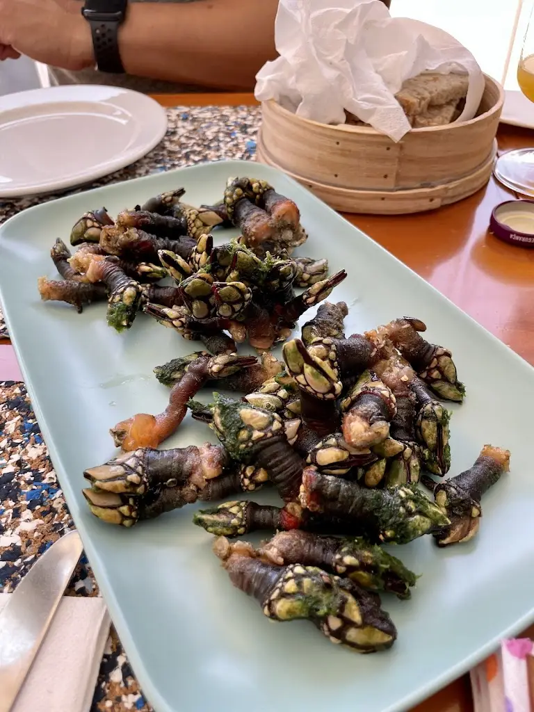 Scott P. Hu_O Martinho_Zambujeira do Mar_recensione