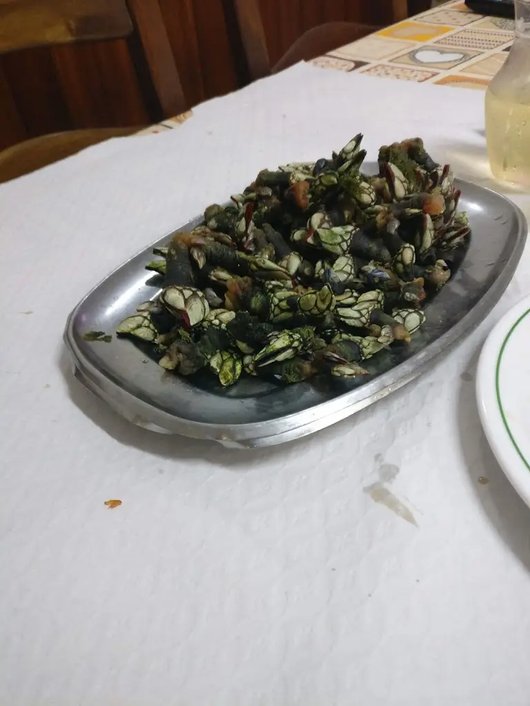 Menu_Estrela do Mar_Zambujeira do Mar_image_6