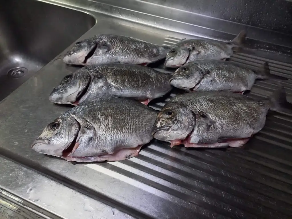 Menu_Ti Vitoria_Zambujeira do Mar_image_5