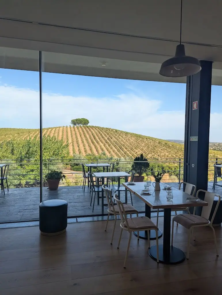 Quinta do Quetzal_Vidigueira_slider_image_3