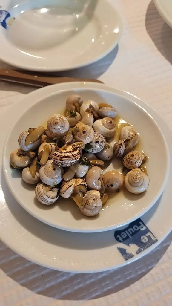 Dragoş TUDOSE_O Cartó_Vidigueira_reseña