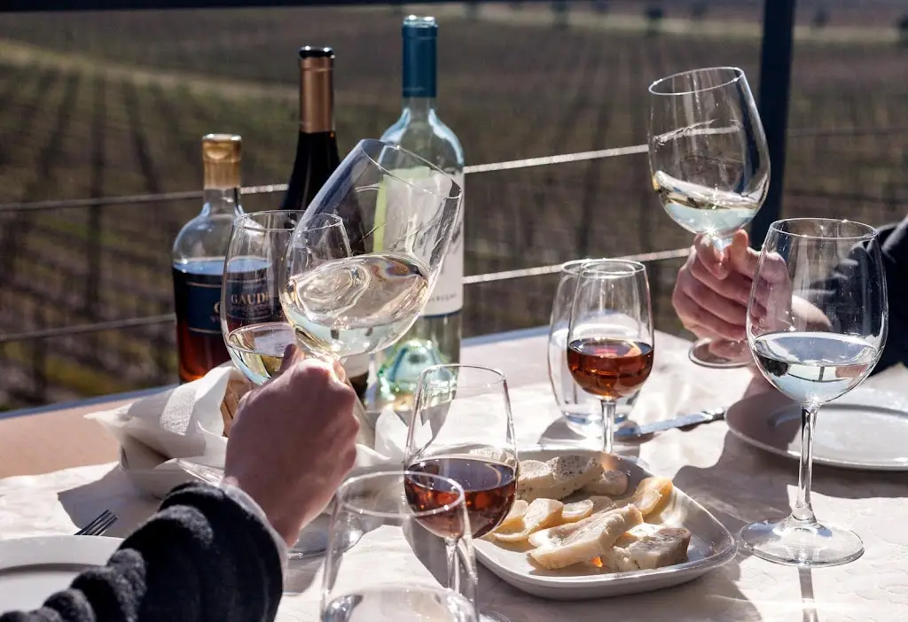 Ribafreixo Wines_Vidigueira_slider_image_3