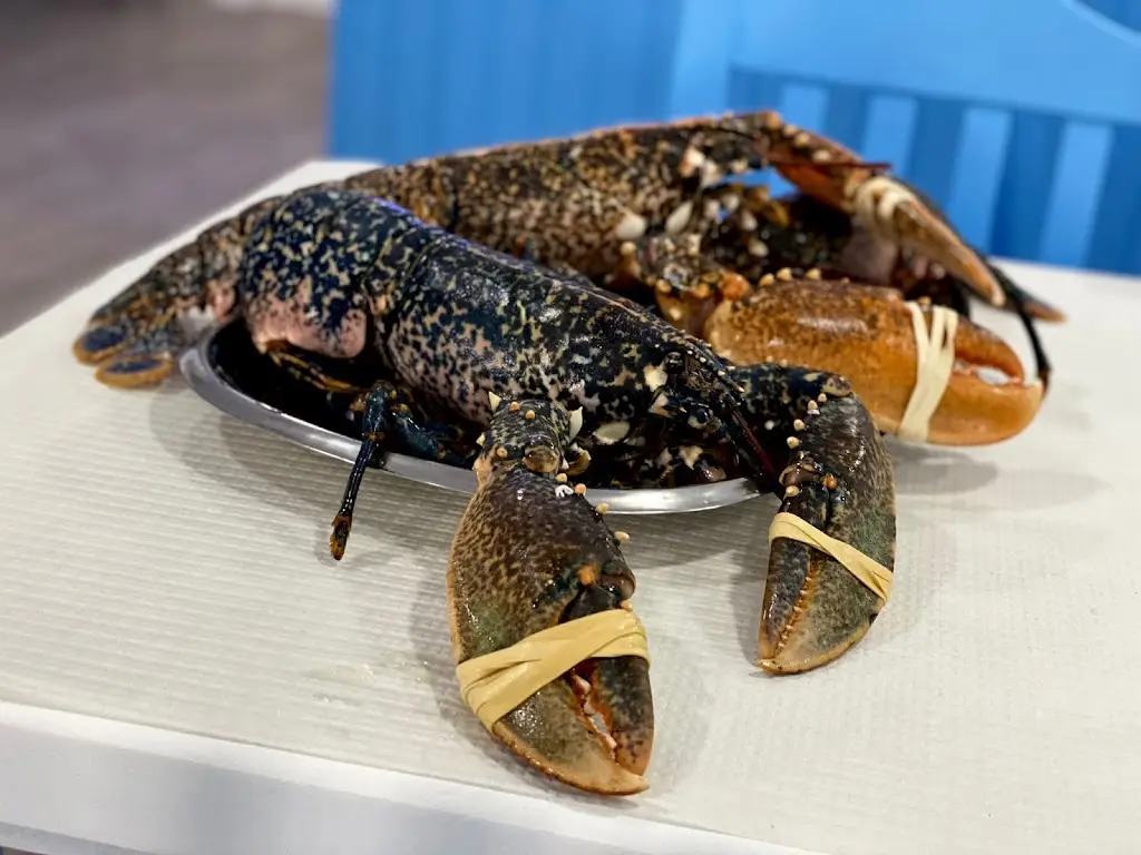 Restaurante O Pescador de Mouro_Vila Nova de Milfontes_slider_image_2