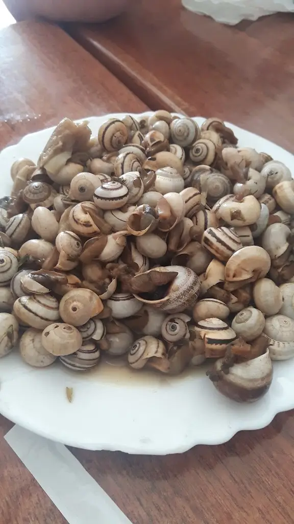 Menu_Restaurante Seara_Castro Verde_immagine_8