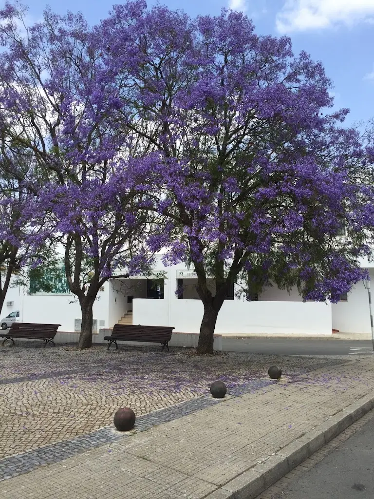 Clube dos Sabores_Castro Verde_slider_image_3