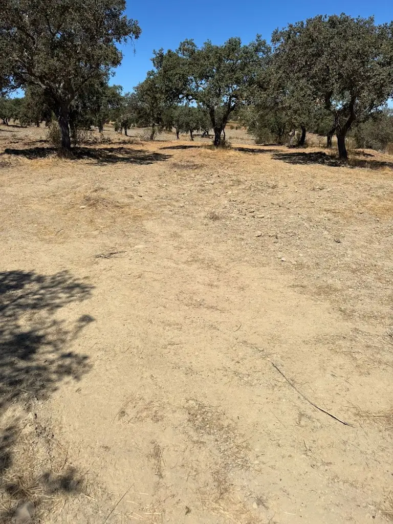 Comedouro da Boavista_Castro Verde_slider_image_1