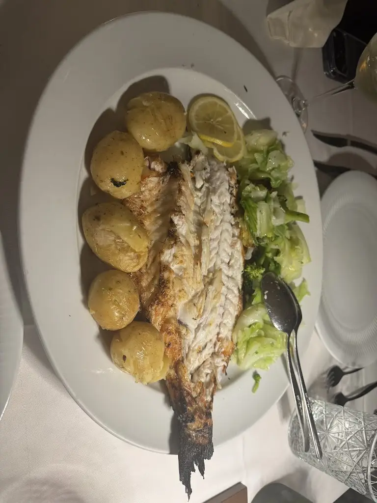 Michael Bielamowicz_Tia Isabel_Braga_reseña