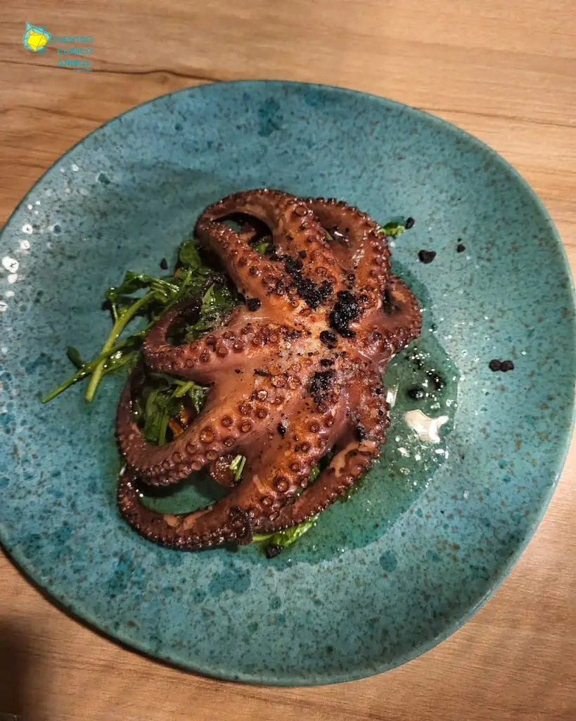 Menu_MIRCATTO_Caldas das Taipas_immagine_5