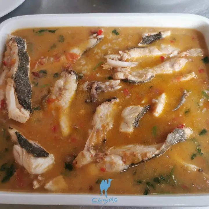 Menu_Restaurante Camelo Apúlia_Apúlia_immagine_5