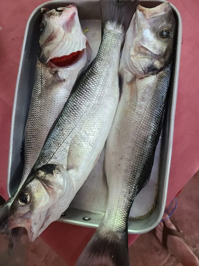 Menu_Cantinho dos Pescadores_Apúlia_immagine_4