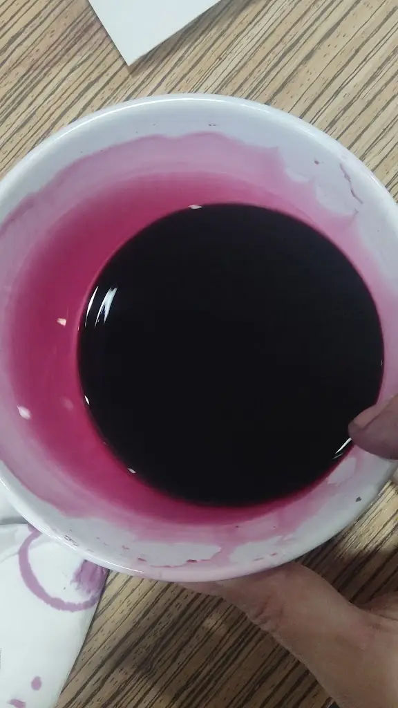 Ricardo Vila Verde_Casa Loureiro Restaurante_Gueral_recensione