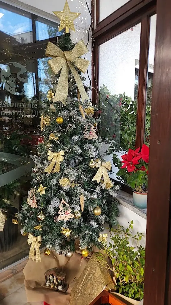 R4F4_Restaurante Cantinho Dos Lirios_Apúlia e Fão_recensione