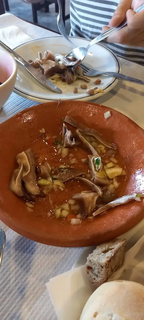 Marco Silva_Casa Garrafinha (Jeremias)_Gondizalves_recensione