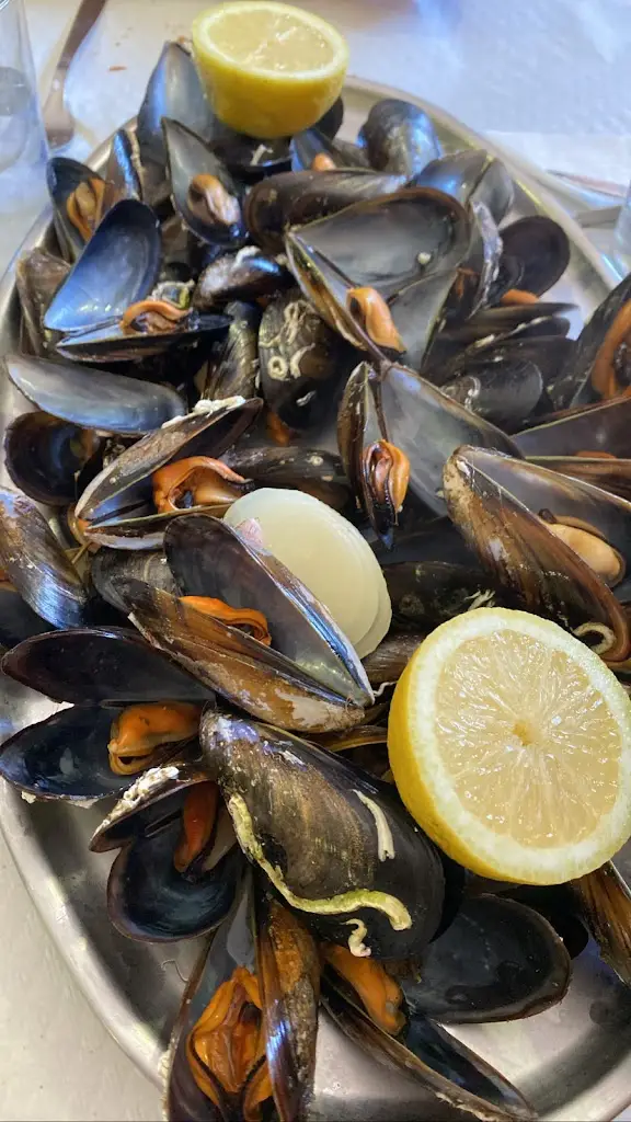 Menu_Camada Fafe_Fafe_immagine_9