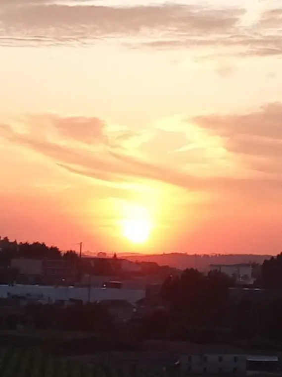 Café Nova Vizela_Caldas de Vizela_slider_image_3