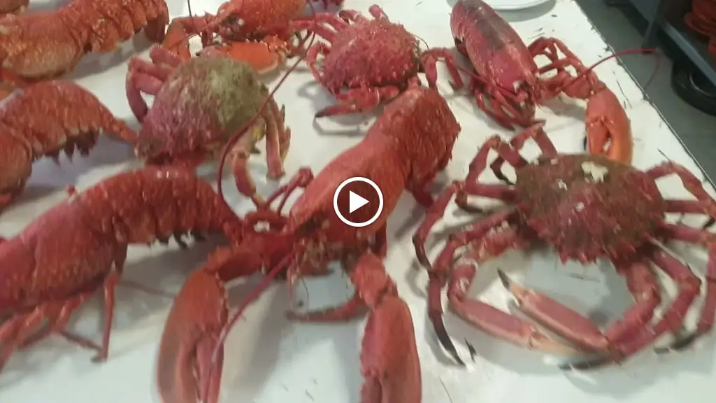 Taberna do Armindo_Macieira de Rates_slider_image_2