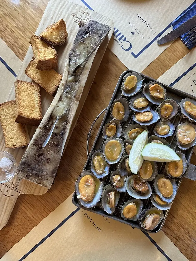 Jasmine Candeliere_Caneta_Angra do Heroísmo_recensione