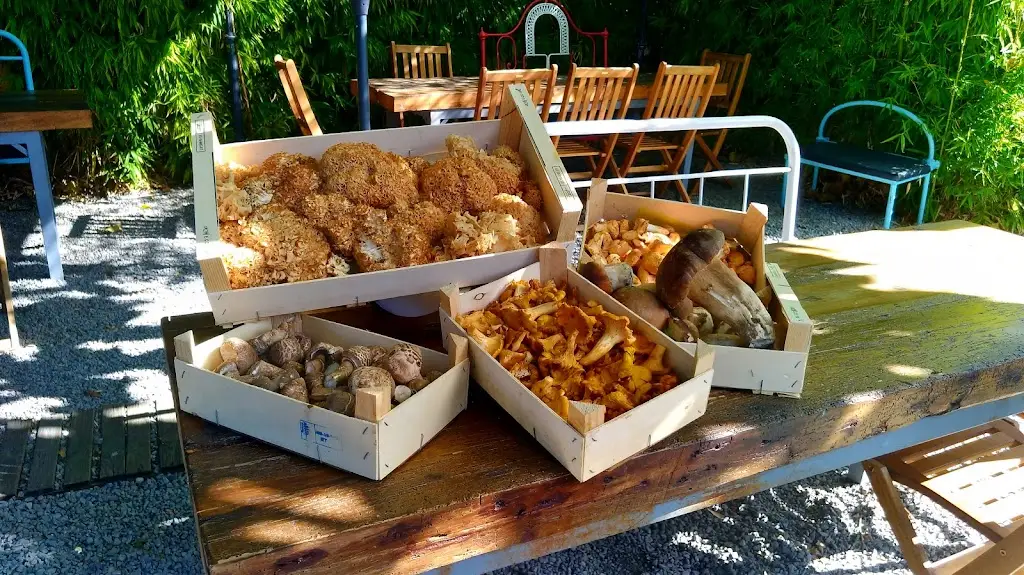 Bons Tempos Restaurante e Petiscos_Real_slider_image_3