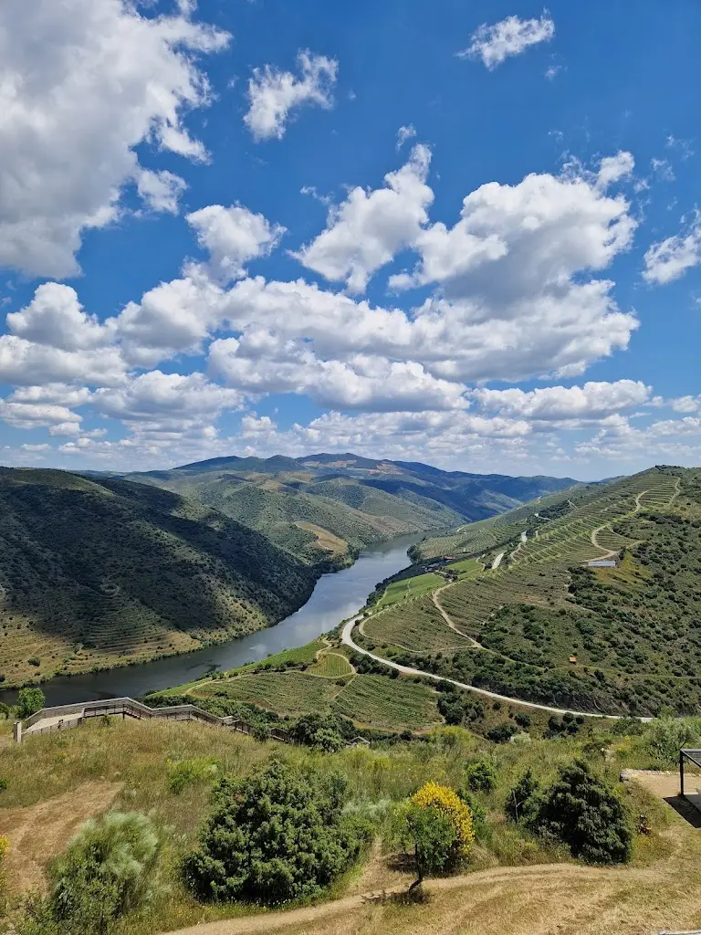 Paula Coelho_Restaurante Coa Museu_Vila Cova_recensione