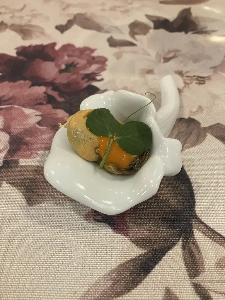 Kees Van Driel_Rio by Paulo André_Vila Cova_recensione