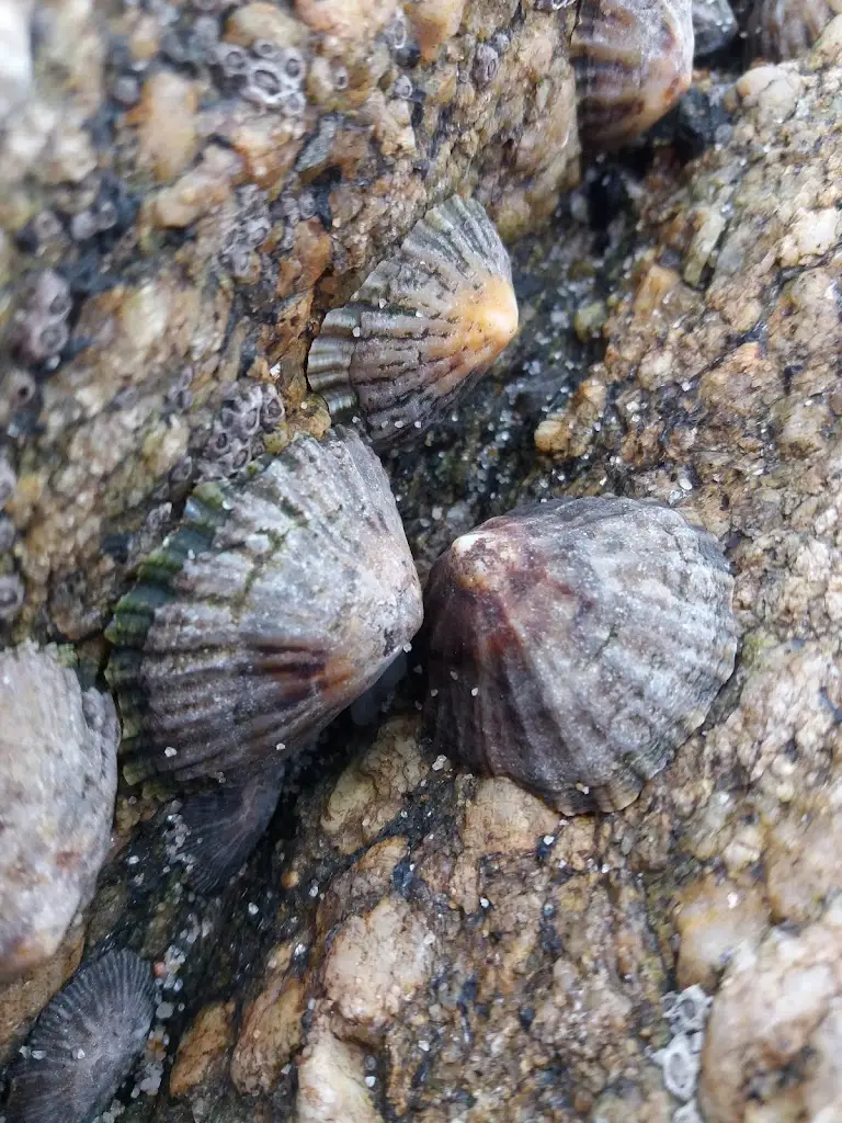 TimeOut Café_Serzedo_slider_image_3