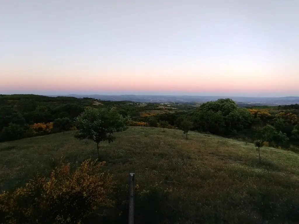 O Cantinho do Germano_Alfândega da Fé_slider_image_3